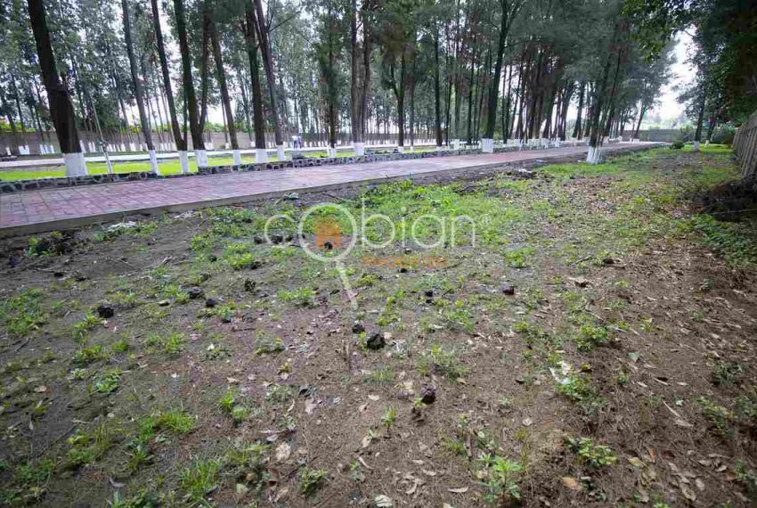 www.inmobiliariacobian.com-puebla-cholula-zerezotla-venta-terrenos-floresta-inmobiliaria-cobian 1 (4)