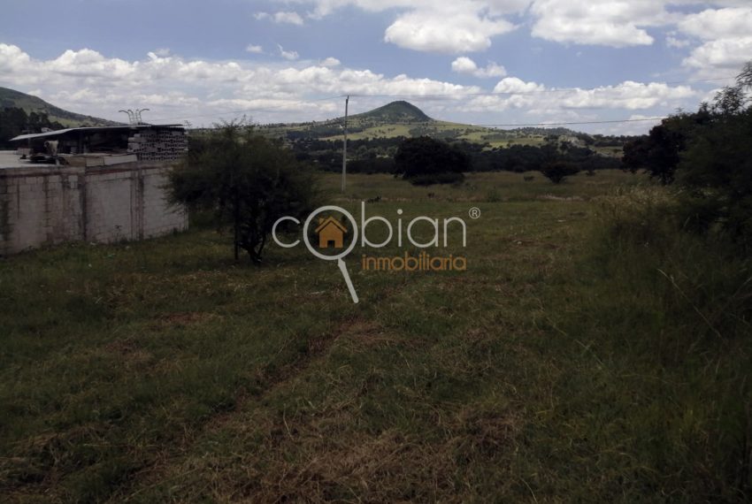 www.inmobiliariacobian.com-puebla-terreno-venta-santa-cruz-alpuyeca-inmobiliaria-cobian 1 (4)